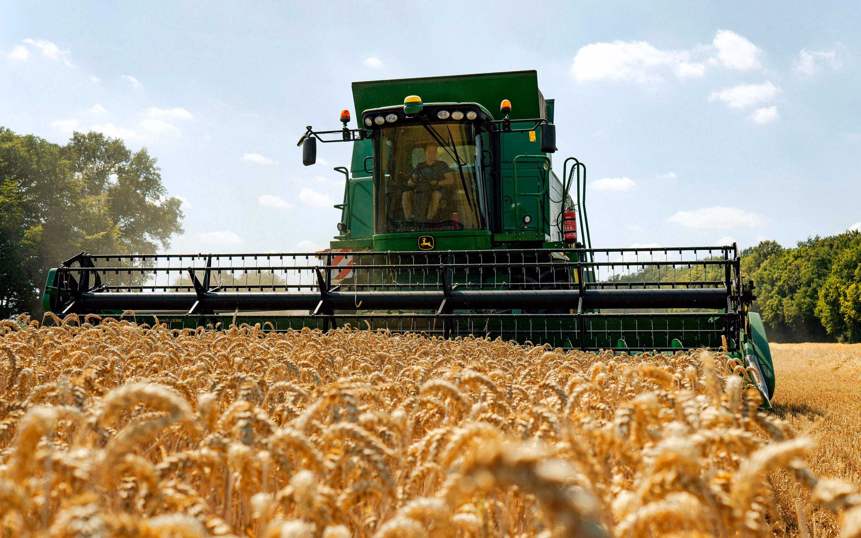 A green combine harvester cutting through a ripe wheat field under a blue summer sky.