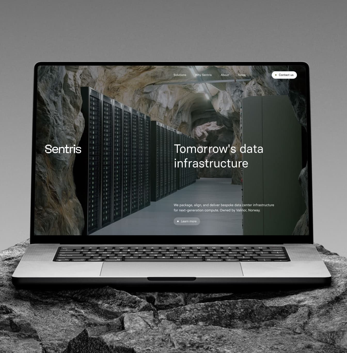 Sentris - Website